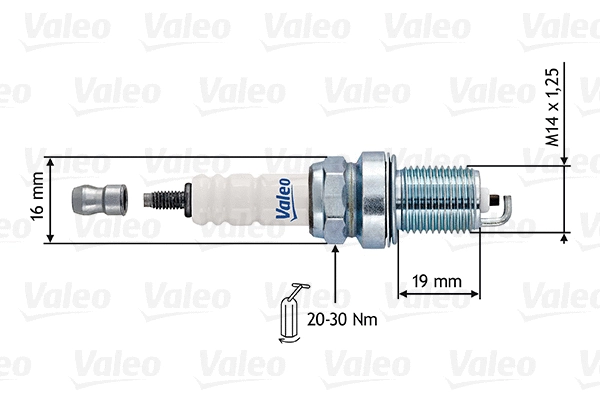 Spark Plug (246911)