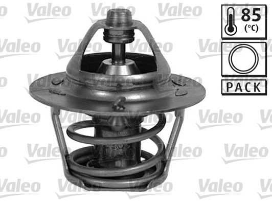 Thermostat, coolant (820509)