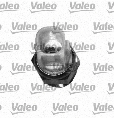 Temperature Switch, radiator fan (820338)