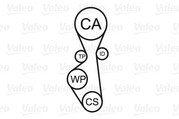 Water Pump & Timing Belt Kit