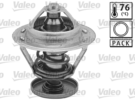 Thermostat, coolant (820524)