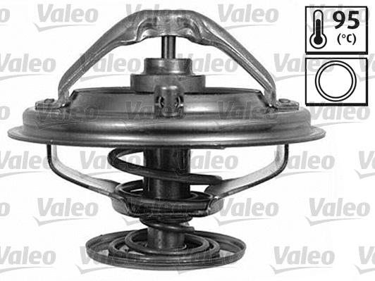Thermostat, coolant (820424)