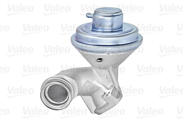 EGR Valve (700407)