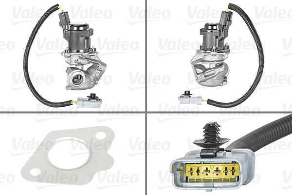 EGR Valve