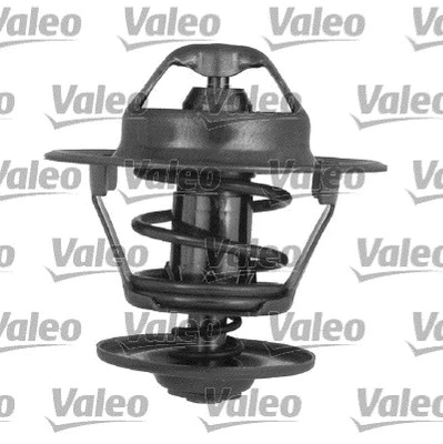 Thermostat, coolant (820911)