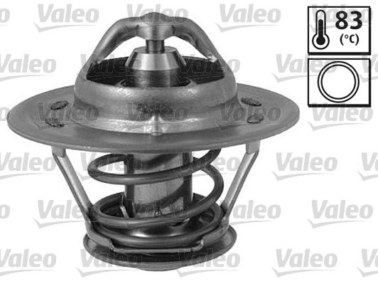 Thermostat, coolant (819881)