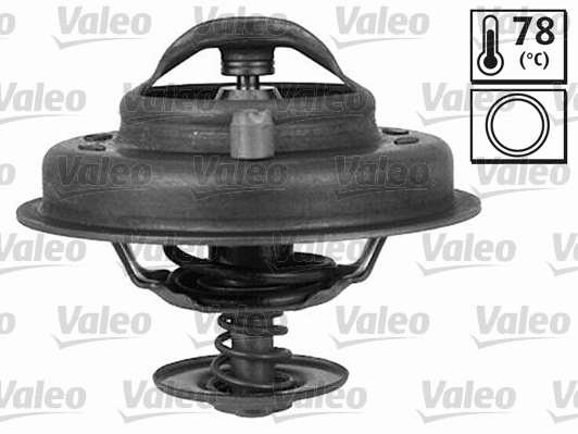 Thermostat, coolant (819930)