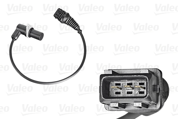 Sensor, camshaft position (253835)