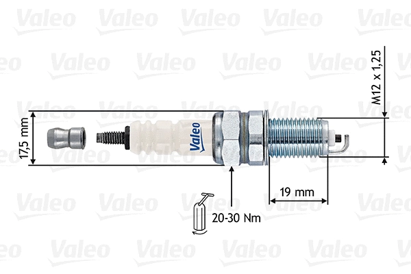 Spark Plug (246899)