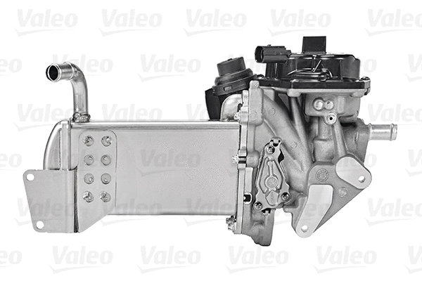 EGR Module