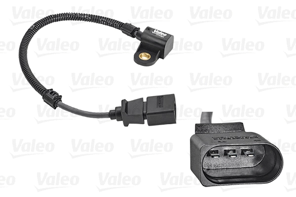 Sensor, camshaft position (255004)