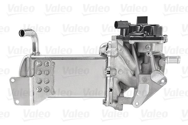 EGR Module