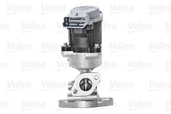 EGR Valve (700423)