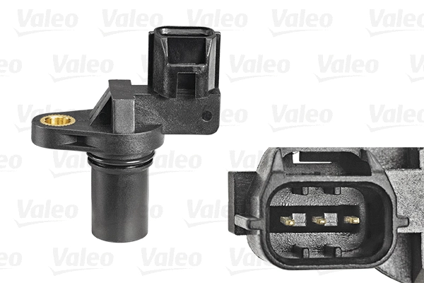 Sensor, camshaft position (253813)