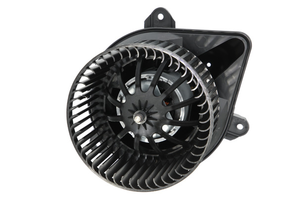 Interior Blower (884640)