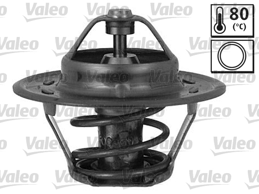 Thermostat, coolant (819849)