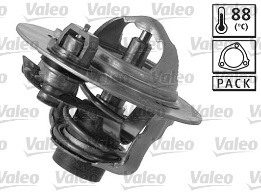 Thermostat, coolant (820191)