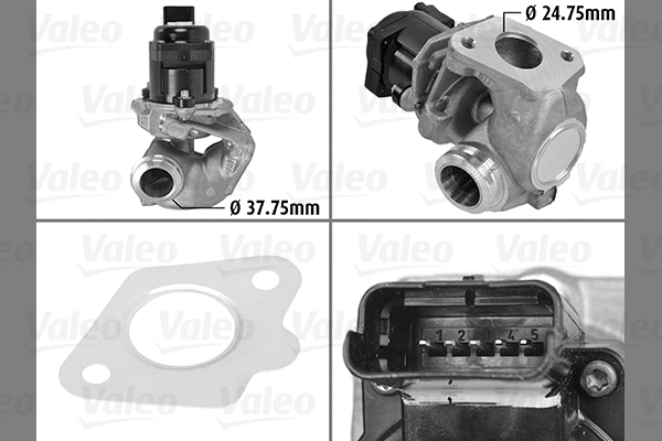 EGR Valve (700414)