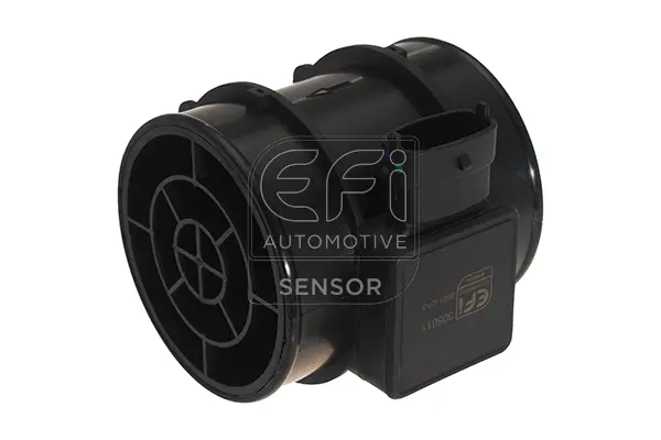 Mass Air Flow Sensor (305011)