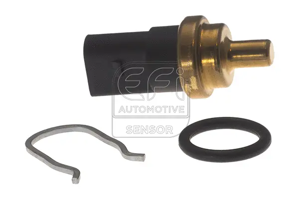 Sensor, fuel temperature (295203)