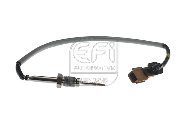 Sensor, exhaust gas temperature (1473134)