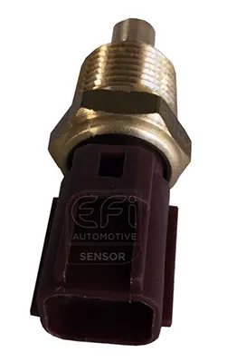 Sensor, coolant temperature (295153)