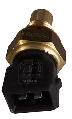 Sensor, coolant temperature (295081)