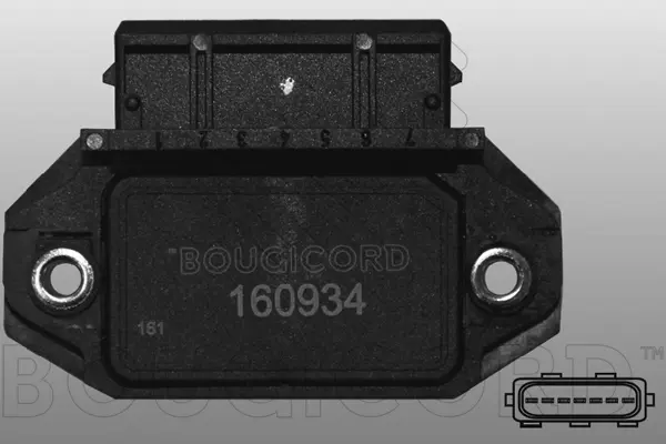 Control Unit, ignition system (160934)