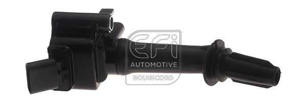 Ignition Coil (155528)