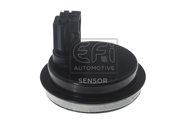 Sensor, wheel speed (302431)