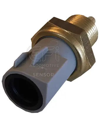 Sensor, coolant temperature (295085)