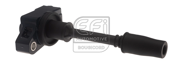 Ignition Coil (155530)