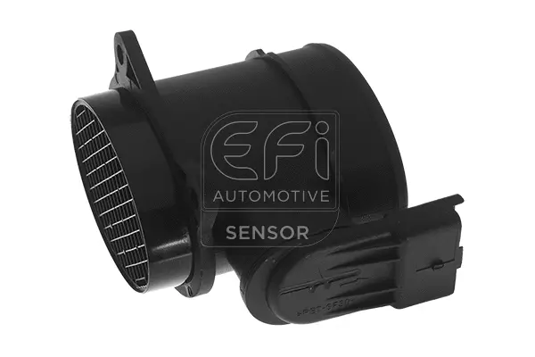 Mass Air Flow Sensor (305079)