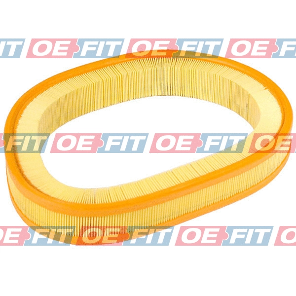 Air Filter (310 12 166 03 22)