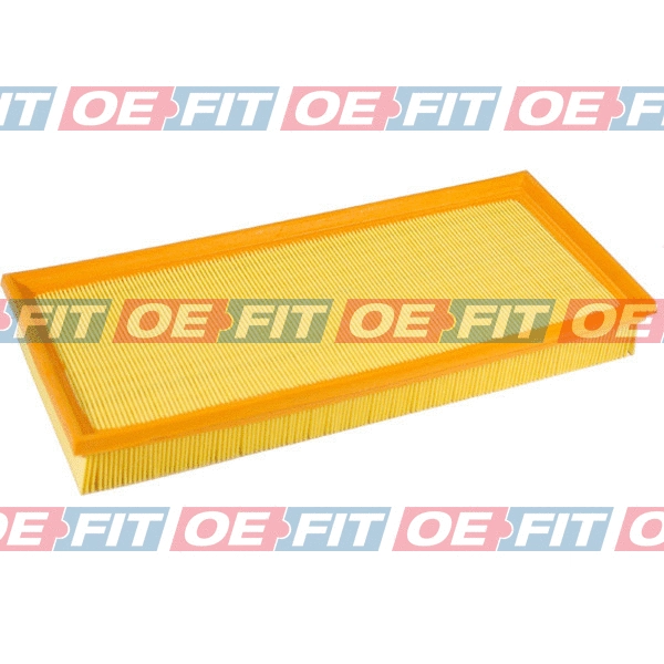 Air Filter (310 12 323 03 22)