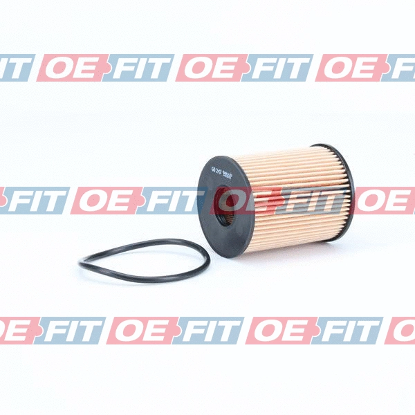 Oil Filter (310 08 109 03 22)