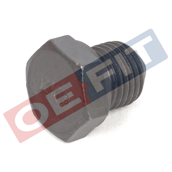 Screw Plug, oil sump (310 18 950 03 22)