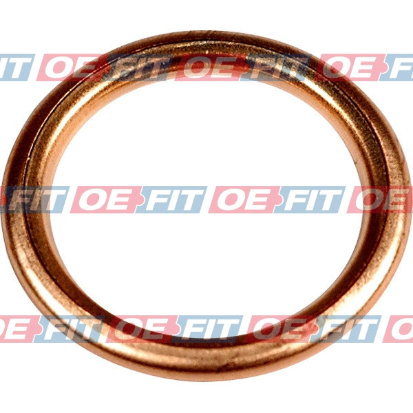 Seal Ring, oil drain plug (313 16 067 03 22)