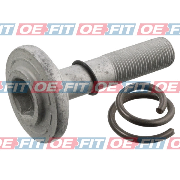 Axle Bolt, drive shaft (100 02 300 03 22)