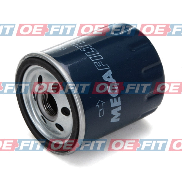 Oil Filter (310 06 199 03 22)
