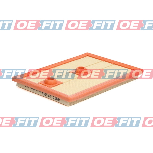Air Filter (310 18 068 02 22)