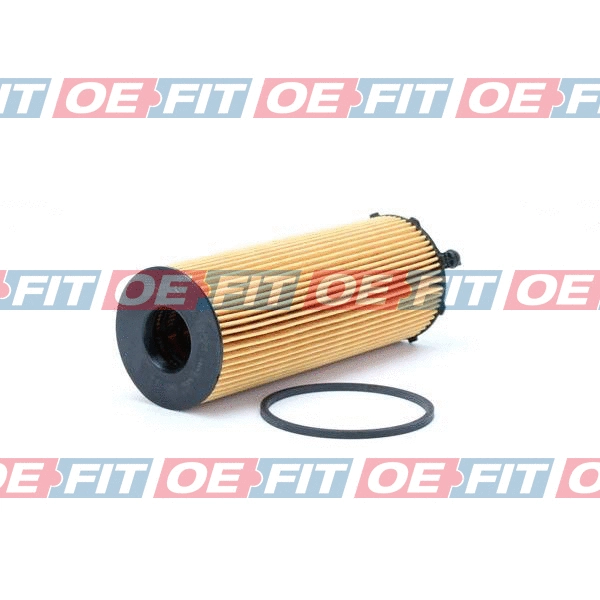 Oil Filter (310 18 192 02 22)