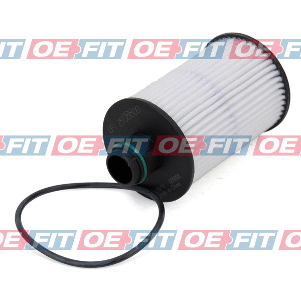 Oil Filter (310 16 278 03 22)