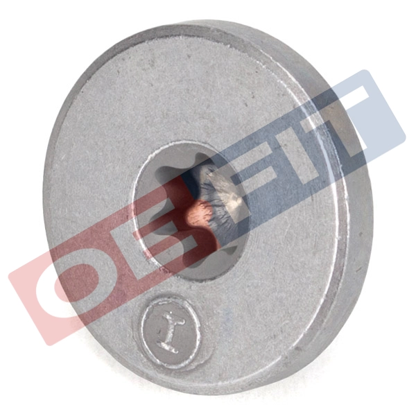 Screw Plug, oil sump (310 16 955 03 22)