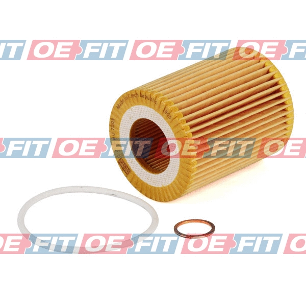 Oil Filter (310 02 226 02 22)