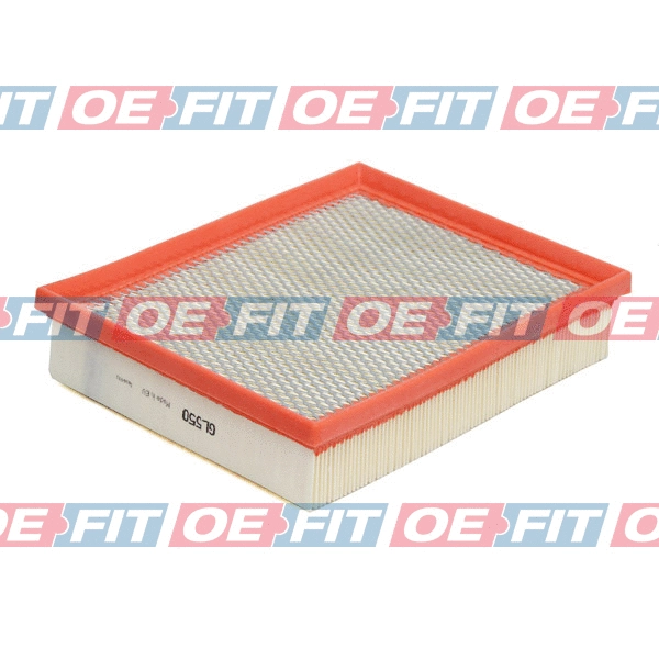Air Filter (310 06 272 03 22)