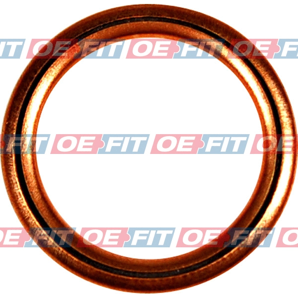 Seal Ring, oil drain plug (313 26 051 03 22)