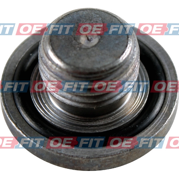 Screw Plug, oil sump (310 16 950 03 22)
