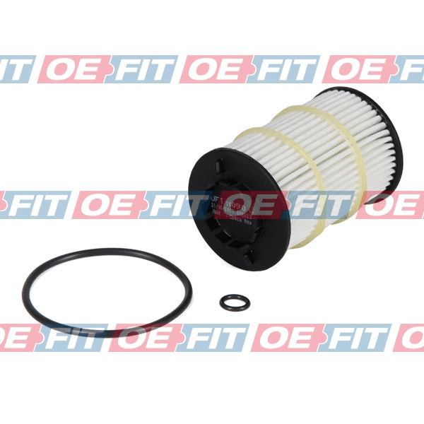 Oil Filter (310 18 844 02 22)
