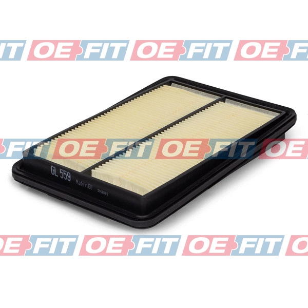 Air Filter (310 28 225 03 22)